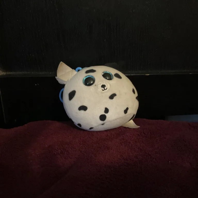 Fetchipoo Jr